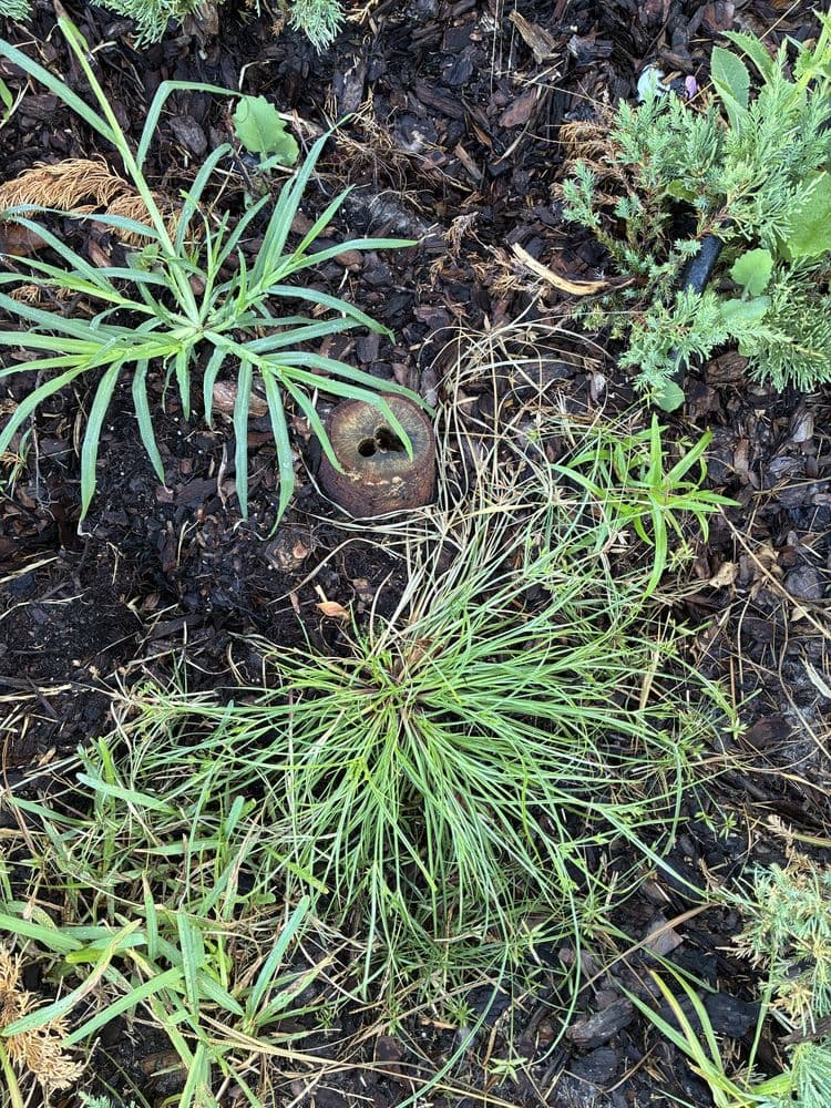 J&A Tree Removal