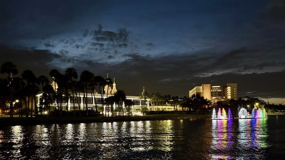 Go Tiki Tours -Tampa