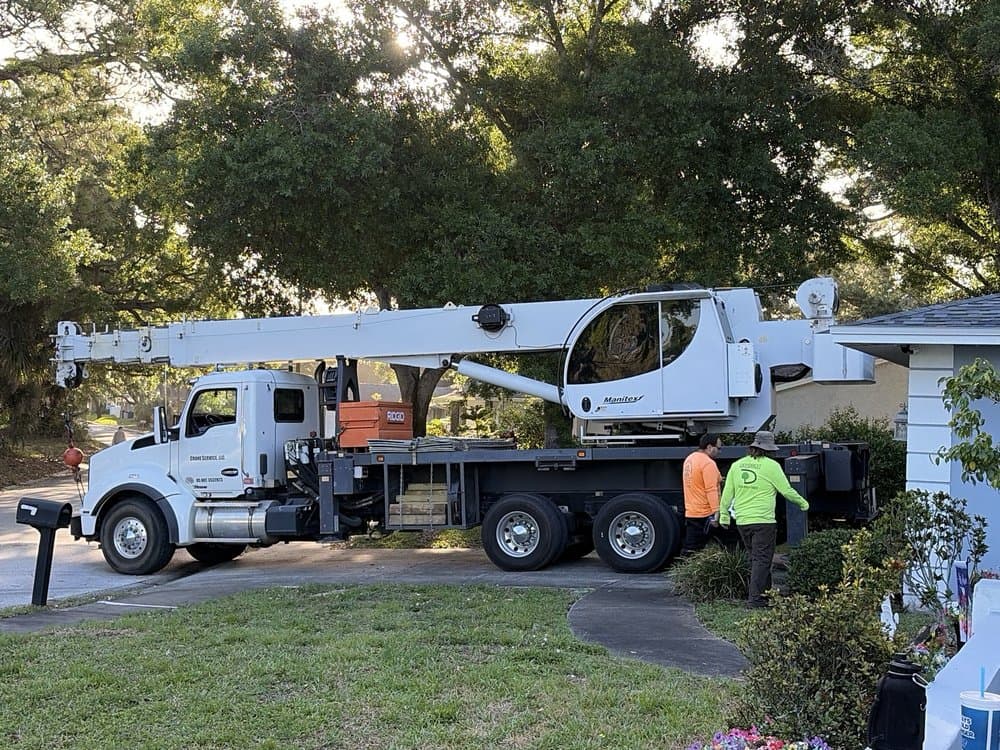 DeForest Tree and Property Maintenance