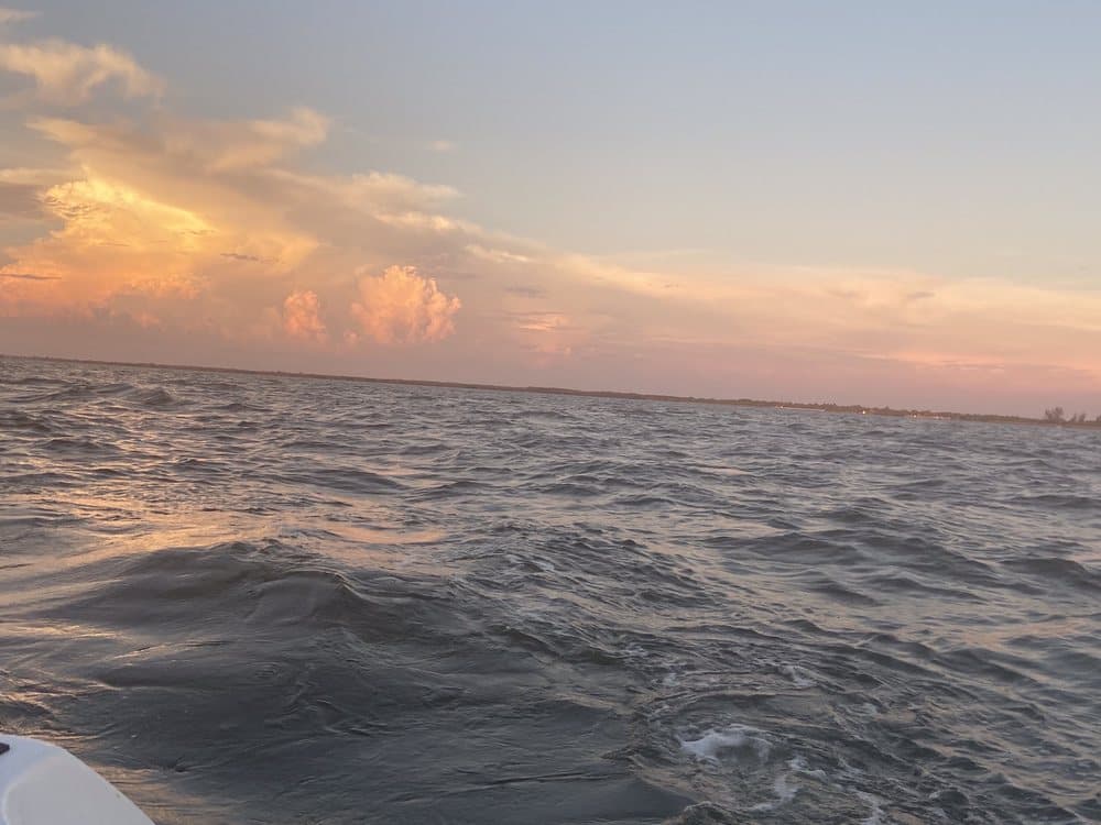 Aqua Serenity Charters