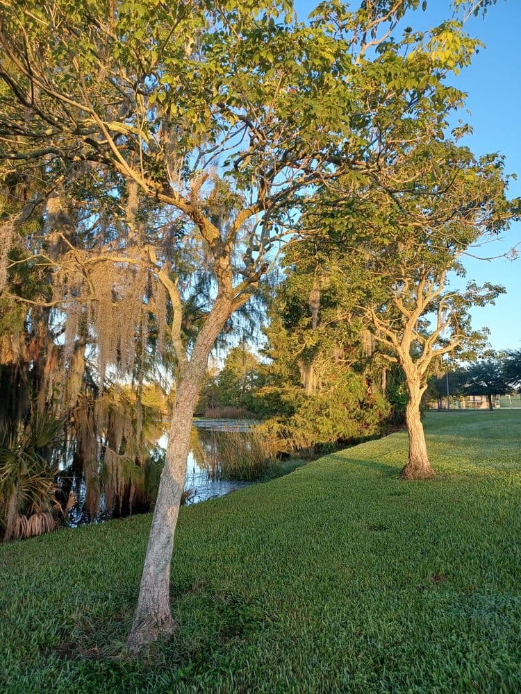 Lake Highland Park