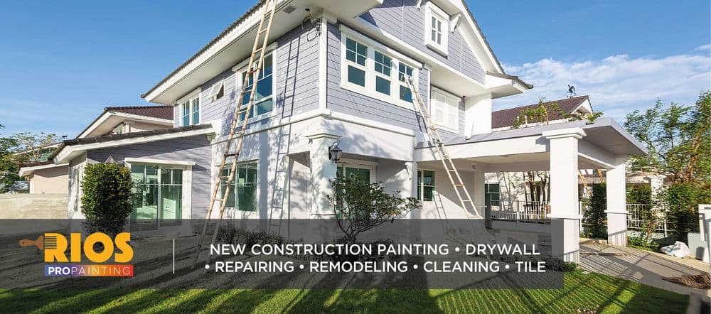 Rios Pro Painting