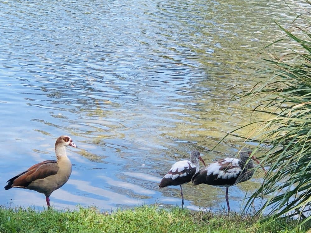 Broward College Exercise park