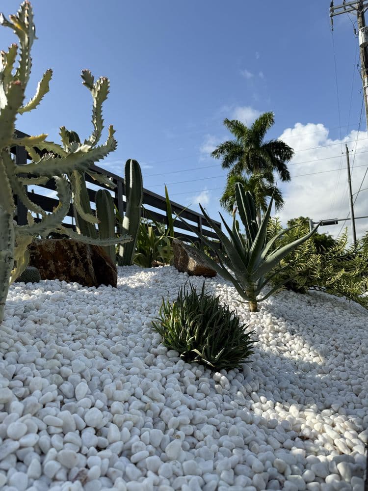 Mazzeta Landscape Design