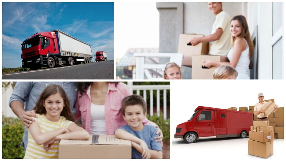 First Choice Moving Labor