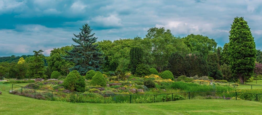 Yunet's Landscaping