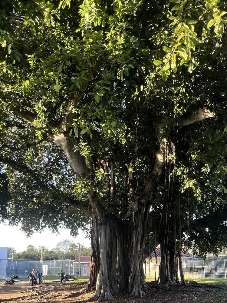 Kirk Munroe Park