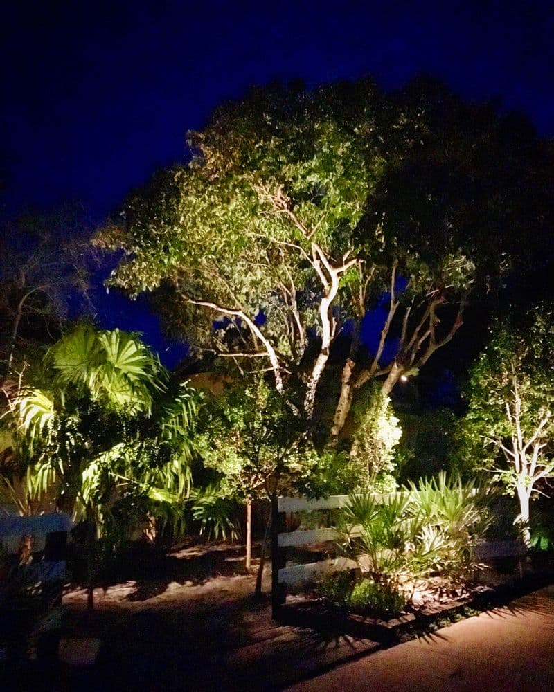 Tropical Landscape Lighting