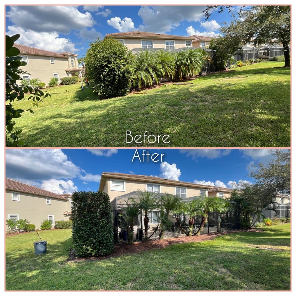 Primavera Landscape & Maintenance