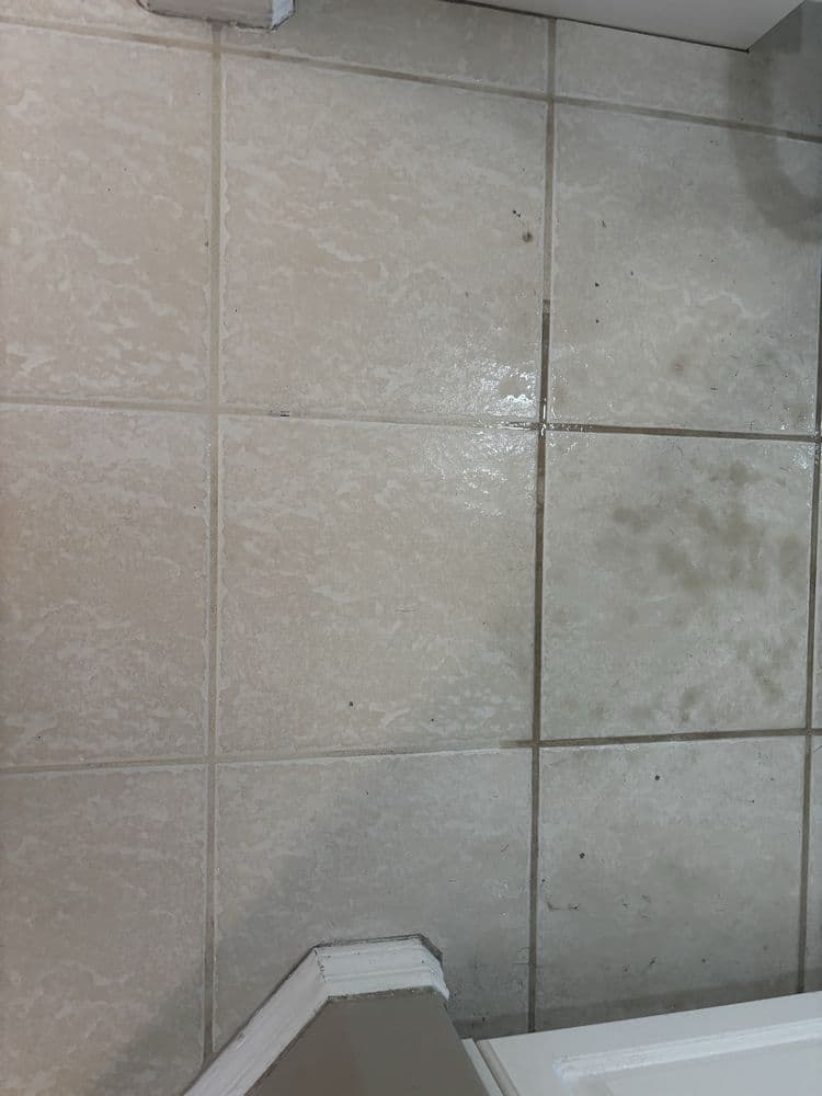 Dynamic Carpet cleaning