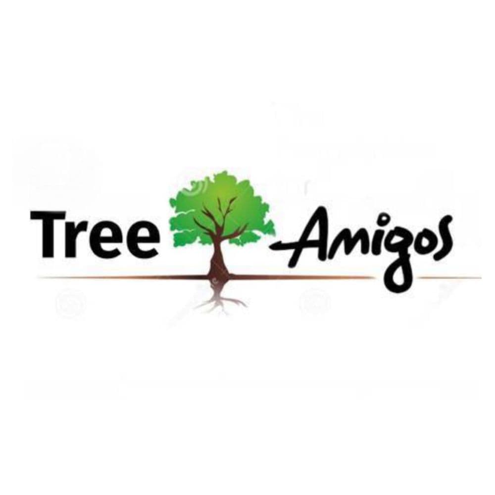 Tree Amigos Orlando