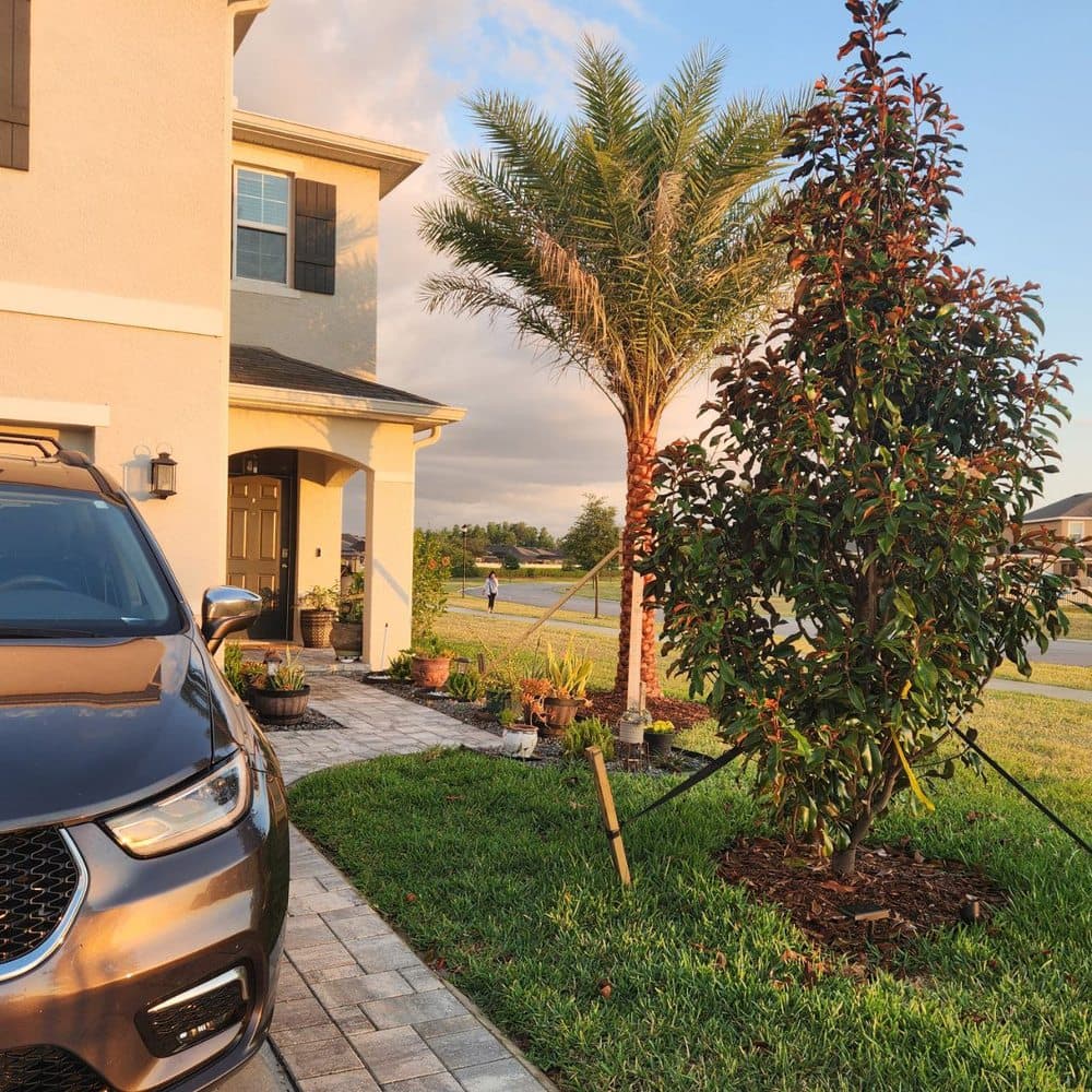 Sun Environmental of Southwest Florida