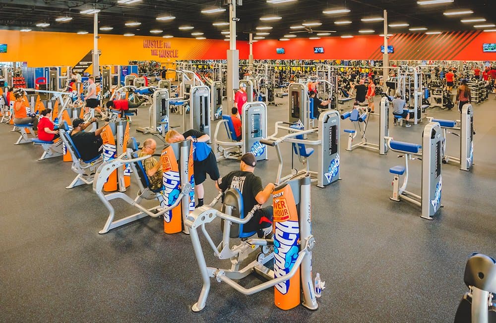 Crunch Fitness - Carrollwood