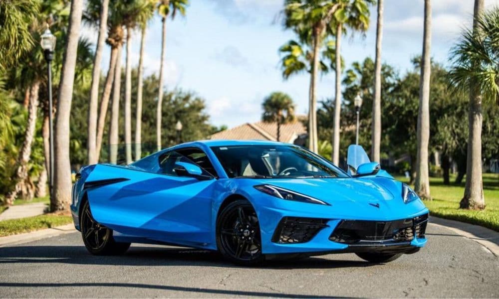 Tampa Luxe