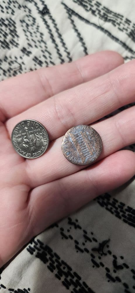 Edgewood Coin