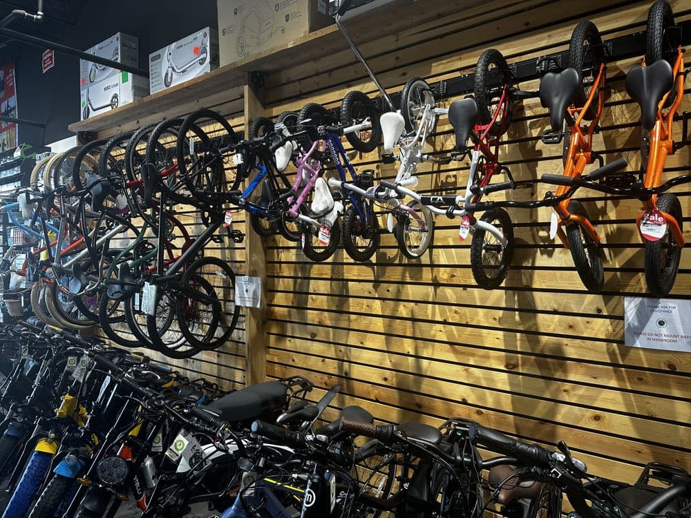 E  Cycle Adventures