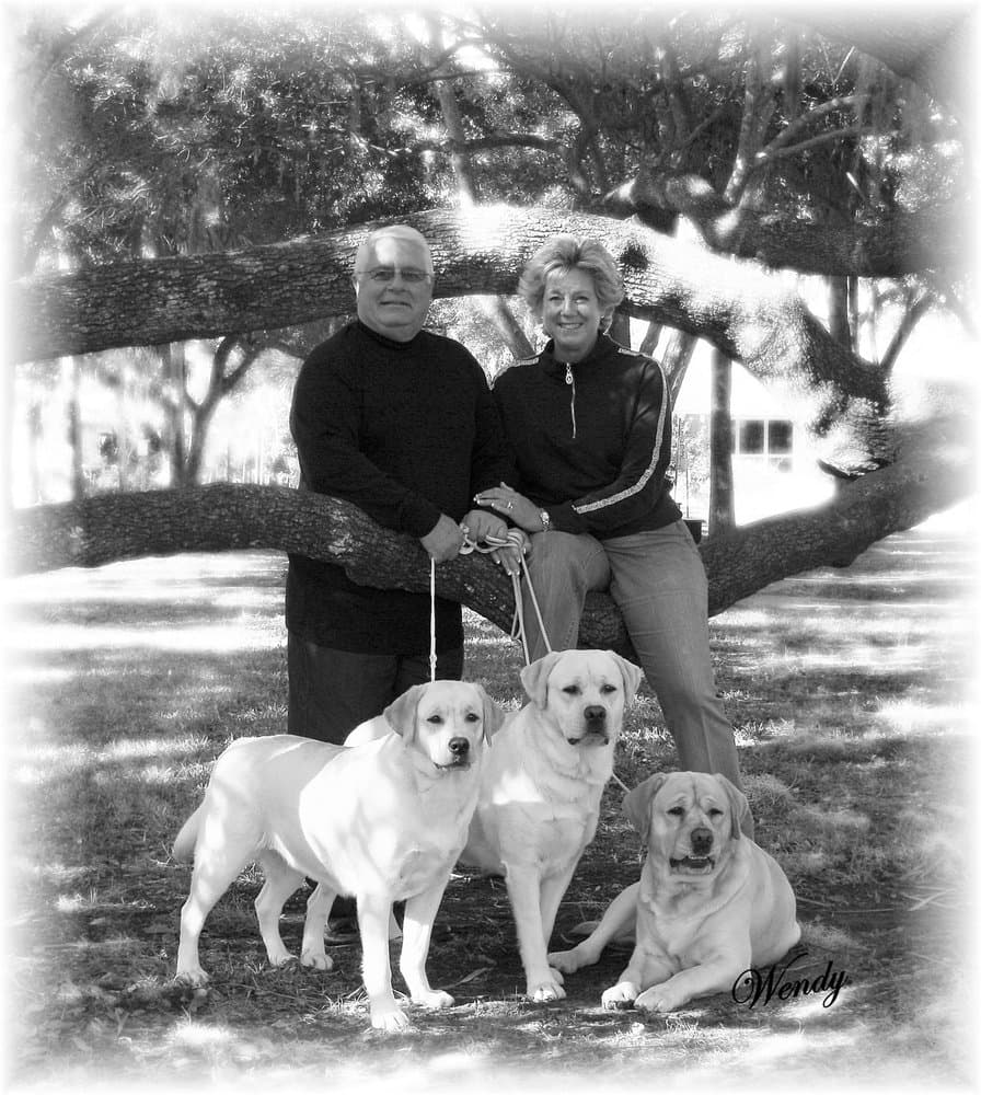 Bluewater Labradors