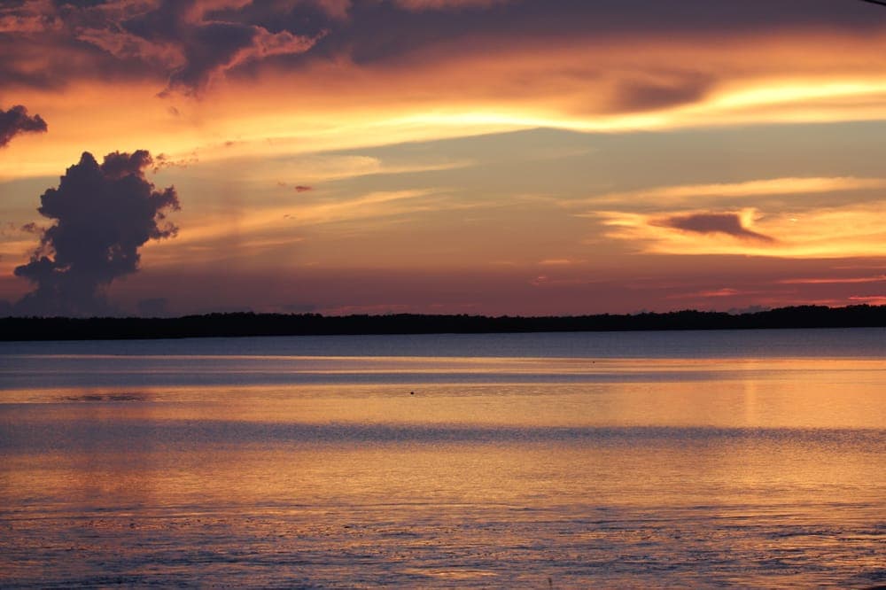 Everglades Airboat Charters