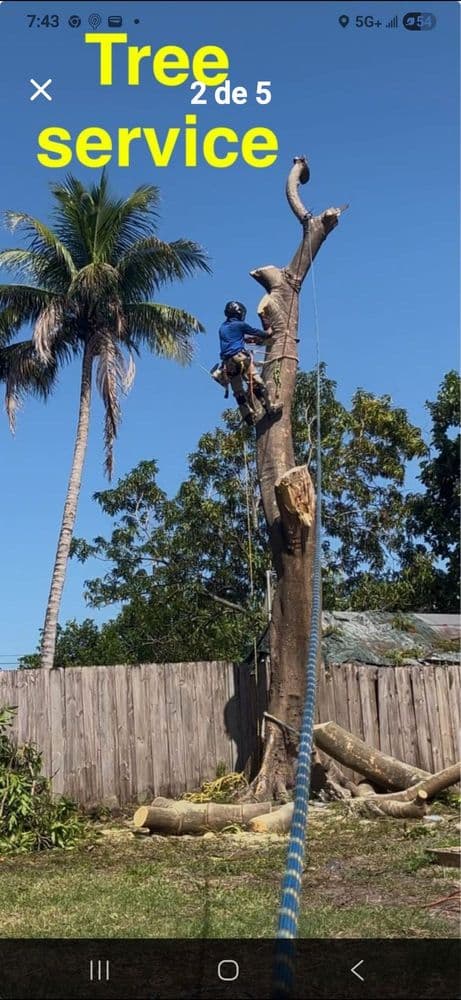 Javier Landscaping