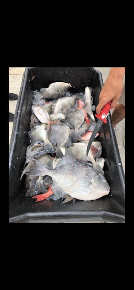 Last Call Fishing Charters