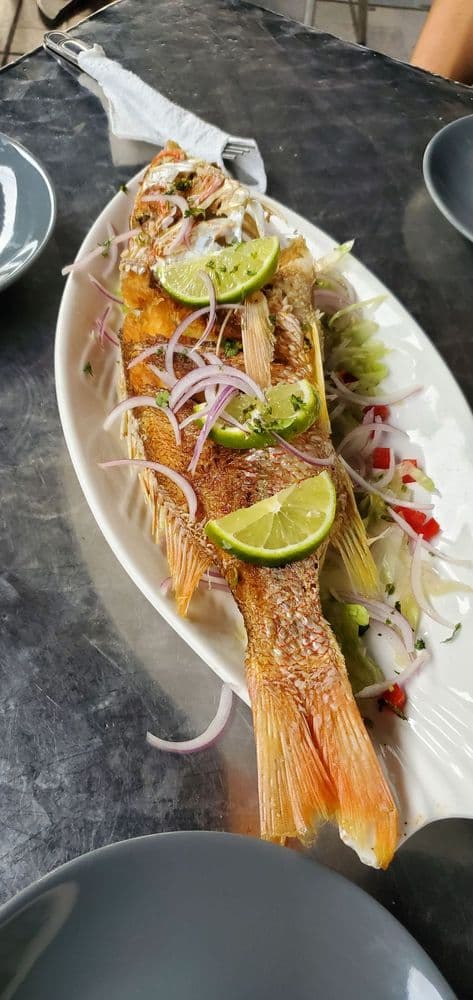 Ceviche 7 Mares