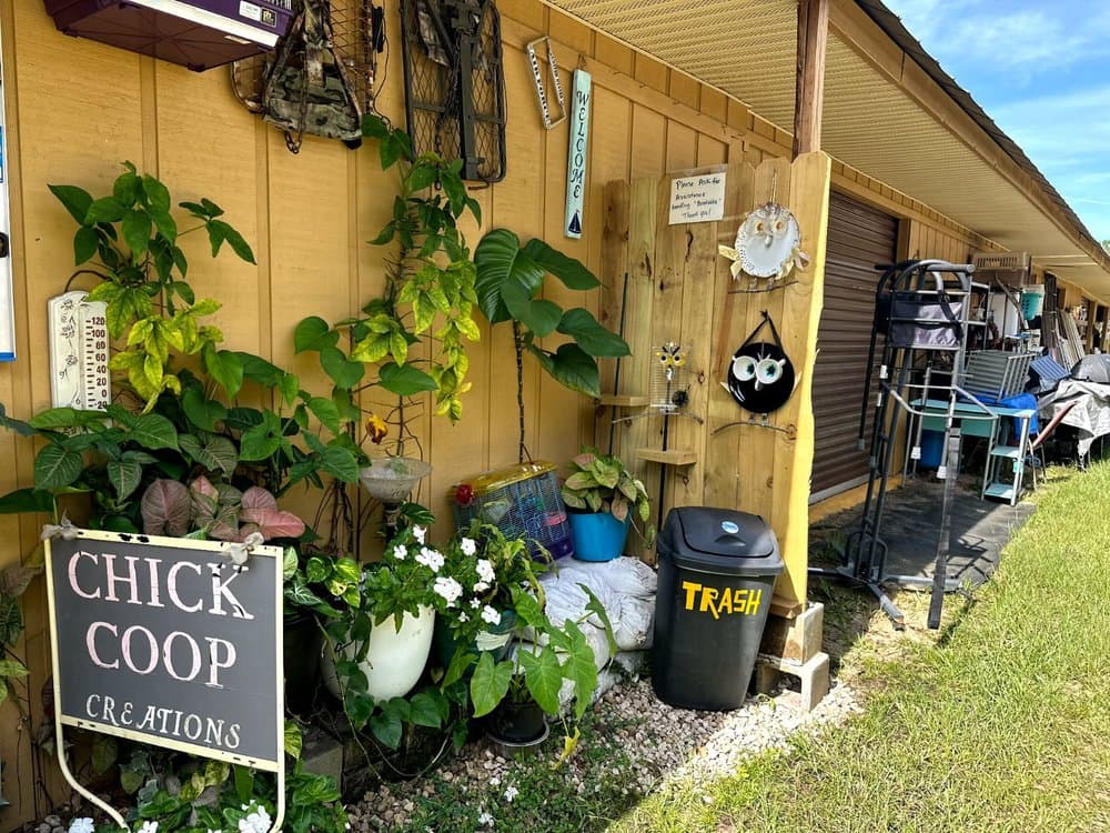 Chick Coop Creations & A Rooster