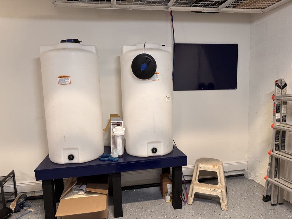 Tidalwave Aquatics