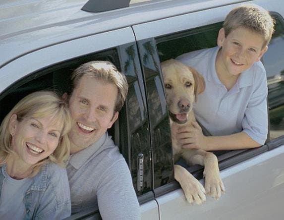 South Florida No Fault Insurance