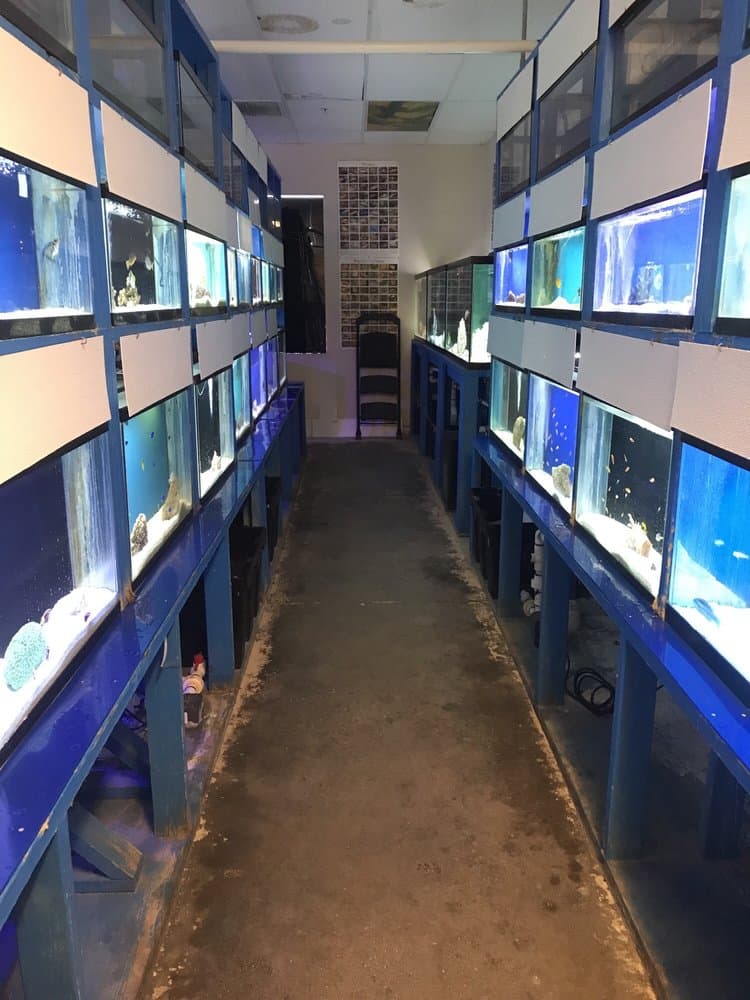 Fintastic Aquariums of Jensen Beach