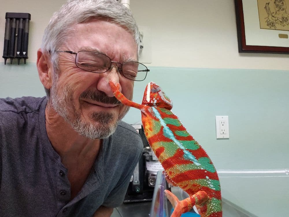 Avian & Exotic Animal Medical Center