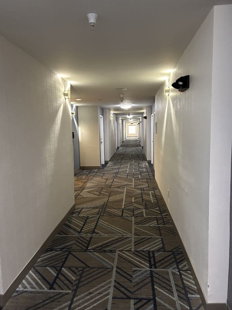 Holiday Inn Express Tampa N I-75 - University Area