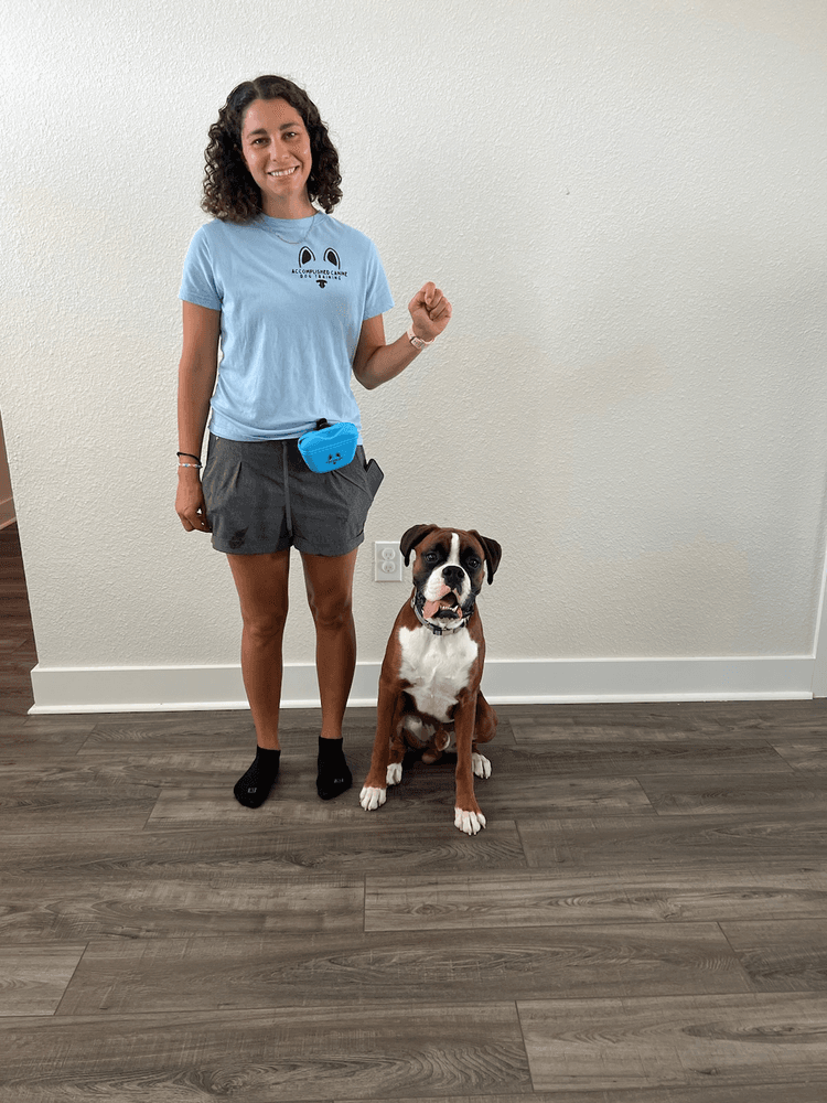 Accomplished Canine Dog Training