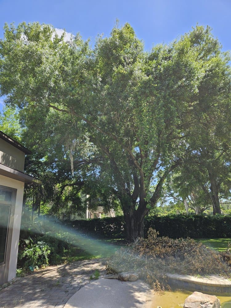 Clarke's Pro Tree Service