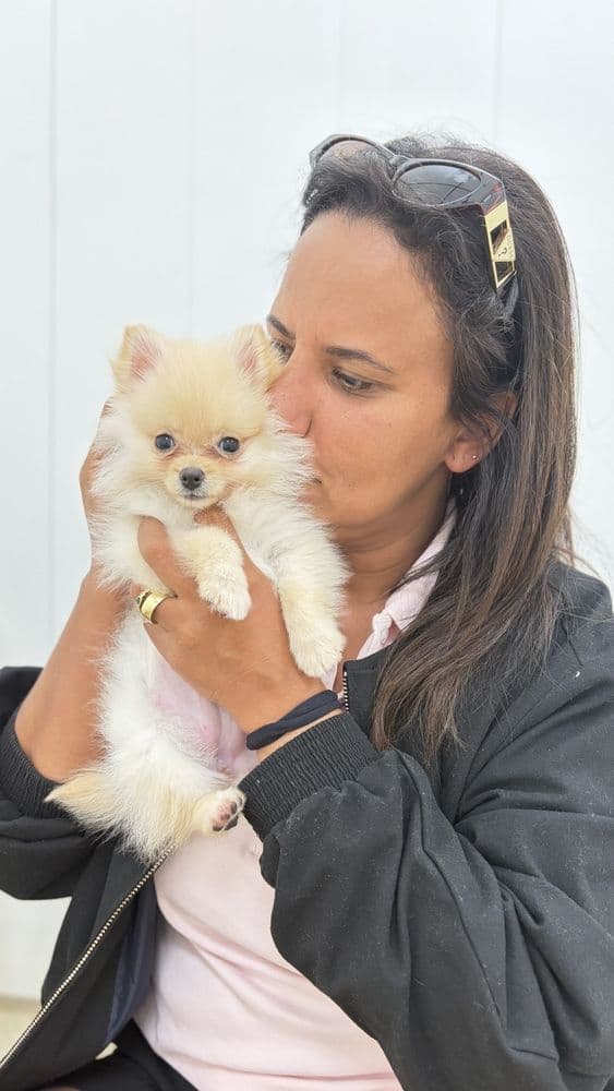 Chews A Puppy