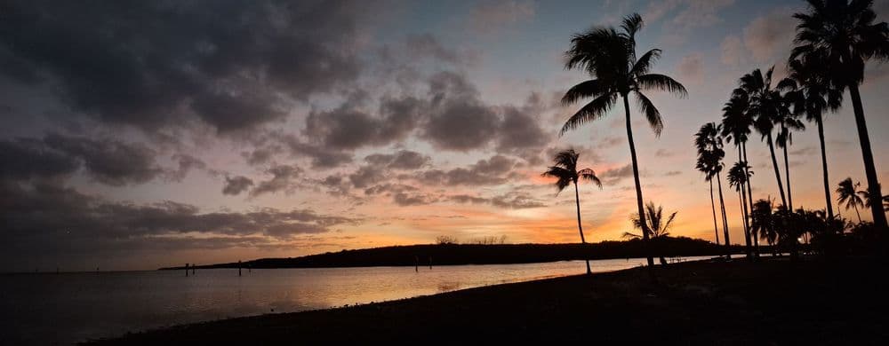 Matheson Hammock Park