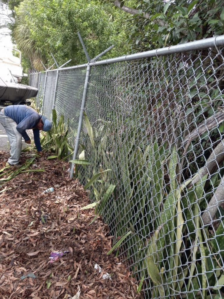 Bryan Tree Services & Landscaping