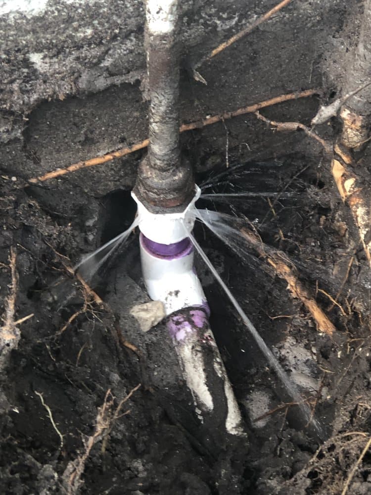 Dave The Leak Guy