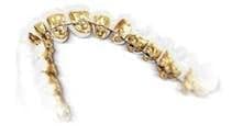 Rice Orthodontics