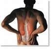 Action Chiropractic Center