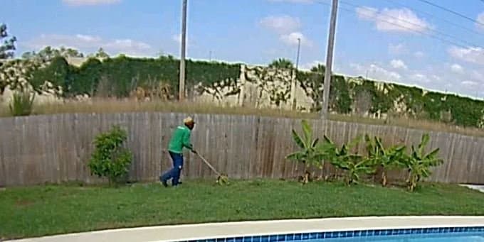 Lawn Love Lawn Care