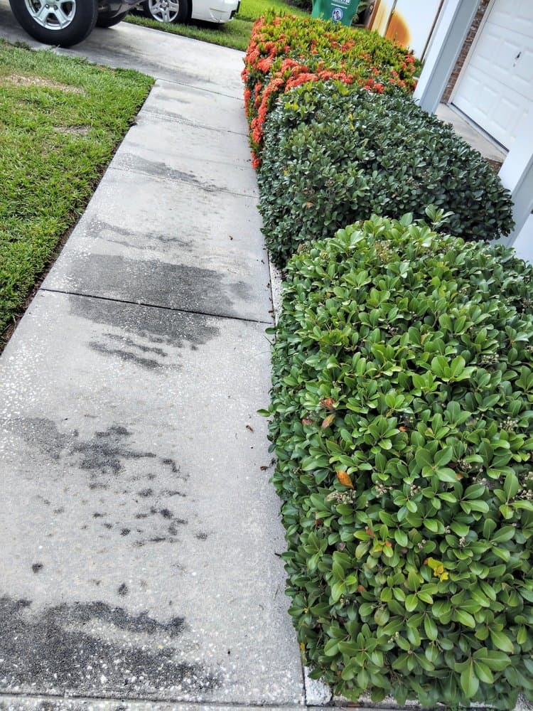 Mike's All Around Lawn Care & Tree Work