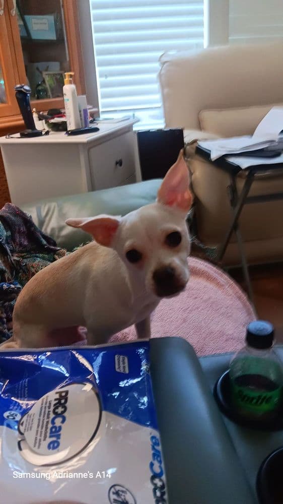 Earthwise Pet