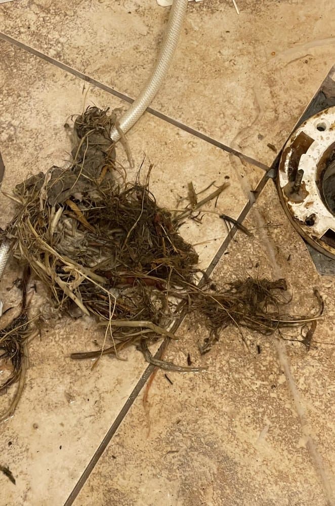 Osceola Sewer and Drain Cleaning