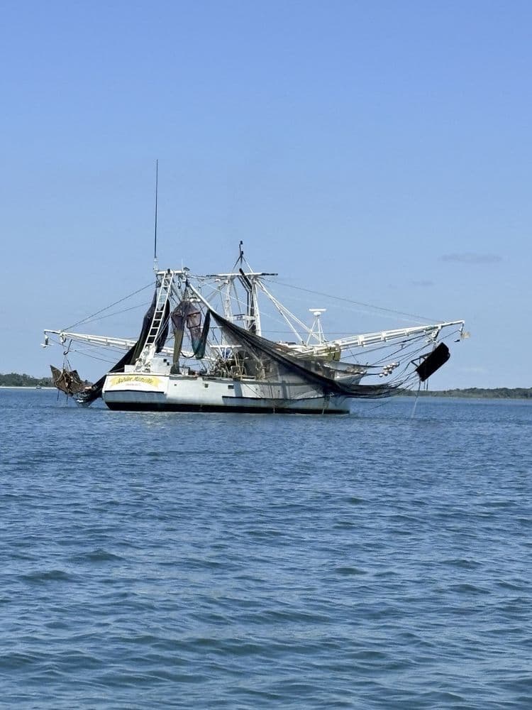 Cumberland Island National Seashore