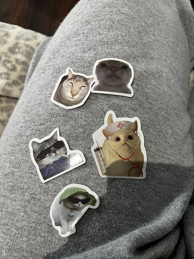 Good Luck Cat Cafe