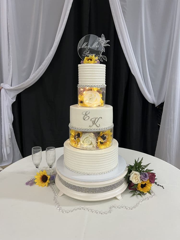 Cake Designers by Patricia Ames