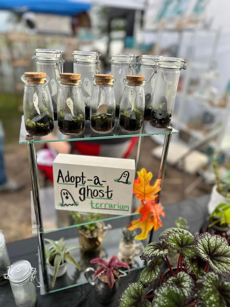 Vintage Plant Company