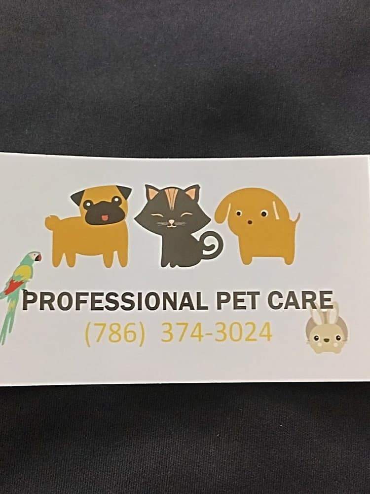 Dog Resort & Daycare