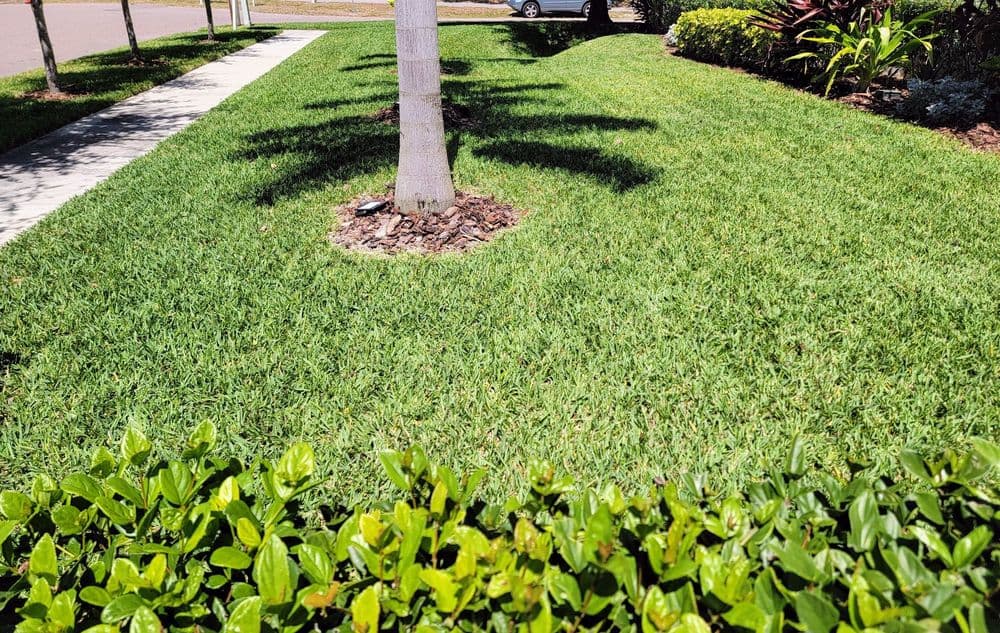 Elite Eagle Landscaping