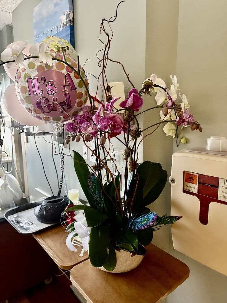 Bay Bouquet Floral Studio